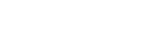 Website White Logo_Vinfast (1)