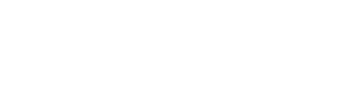 Novus-Home-Page-Logo-vs